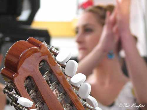 Flamenco in Torrox