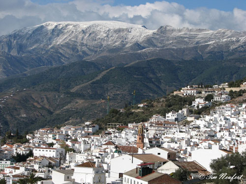 Maroma, höchster Berg der Sierra Tejeda, 2065m